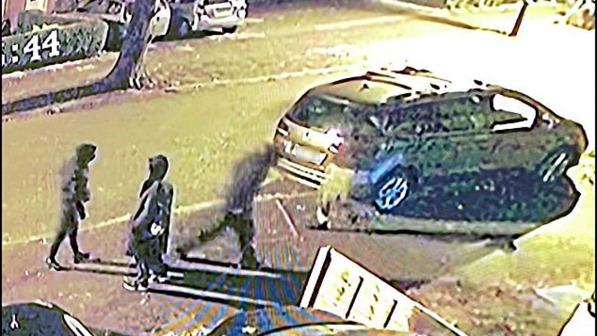 Крадци с мачете влязоха да обират къща, но им се случи случка ВИДЕО