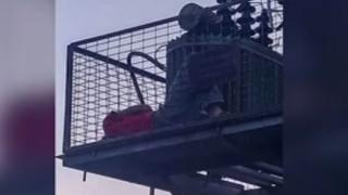 Инцидент: Мъж се качи върху трафопост, а след това.... ВИДЕО