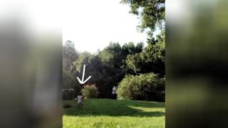 Момченце повтори акробатичния трик на майка си и покори мрежата
