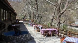 Култов ресторант в Бачково под прицела на данъчните