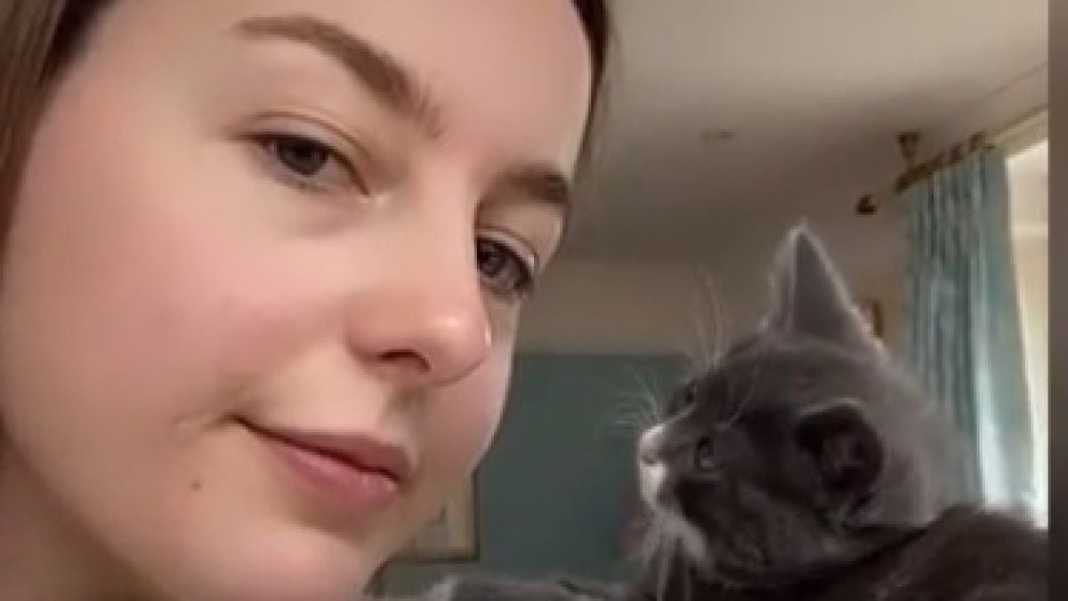 Ласки между красавица и коте разтопиха мрежата ВИДЕО
