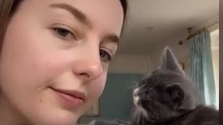 Ласки между красавица и коте разтопиха мрежата ВИДЕО