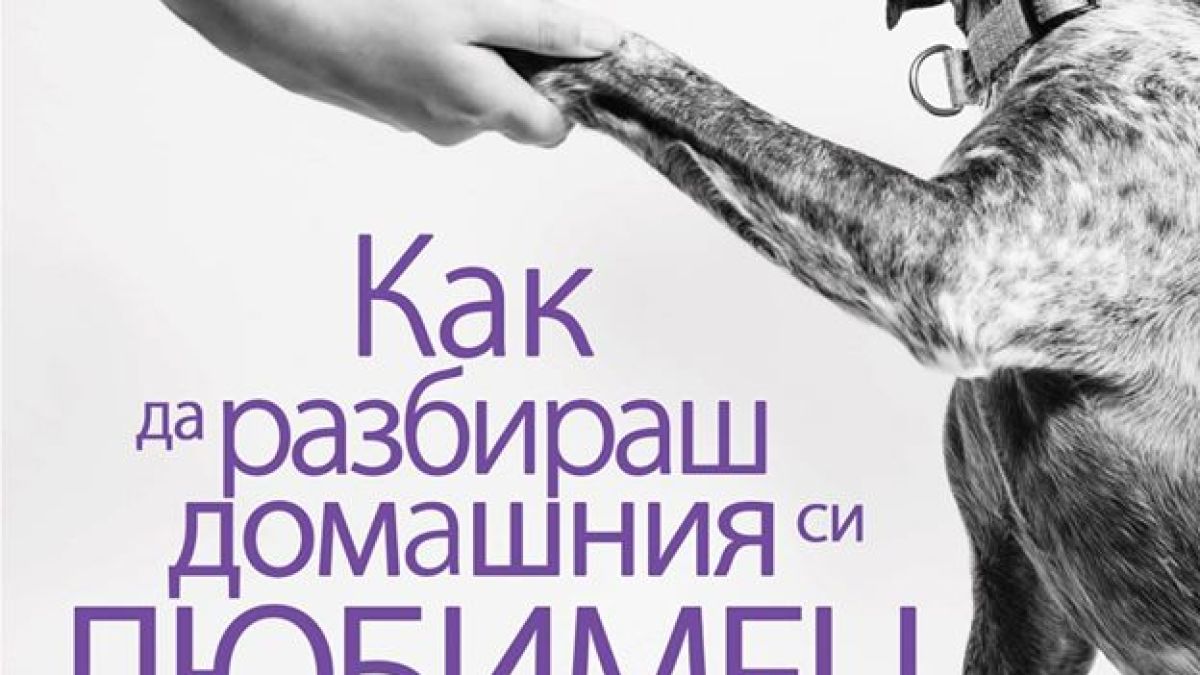 Как да разбираш домашния си любимец? 