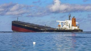 Раят на остров Мавриций под заплаха заради... СНИМКИ