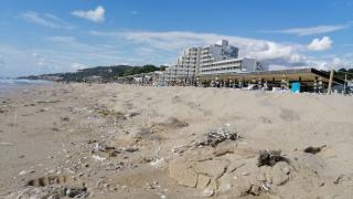 Вижте какво се появи на плажа в Албена СНИМКИ 