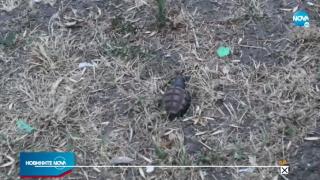 Извънредна ситуация около блок в Хасково, отцепиха района ВИДЕО