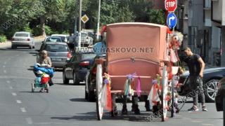 Страховит инцидент в Хасково, кон лежи на платното СНИМКИ 