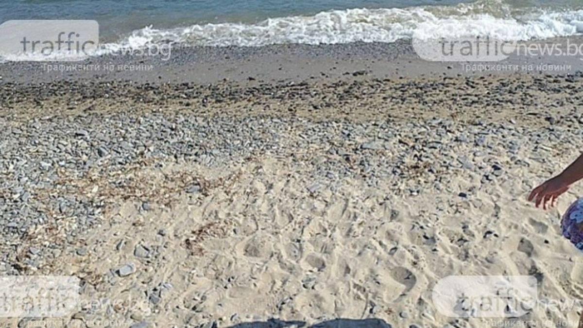 Ужасяваща гледка от плаж в елитен наш курорт СНИМКИ