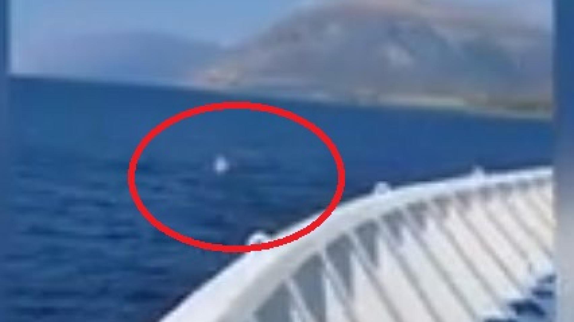 Такова нещо с 5-годишно дете в Йонийско море не се бе случвало! ВИДЕО