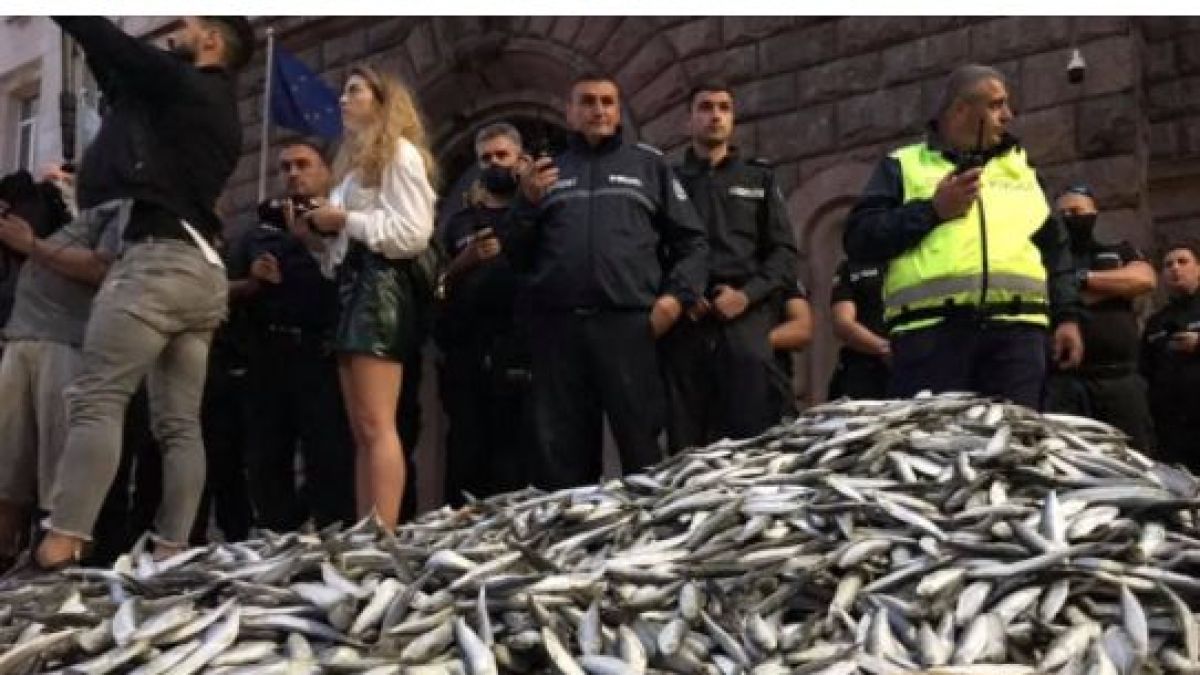Андролова срази "Отровното трио" заради гнусната им изцепка в центъра на София БЛИЦ TV
