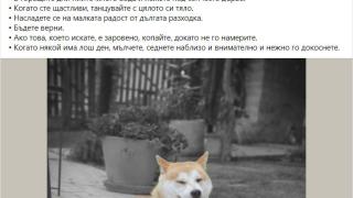 Атанасова сподели 12 "простички правила за щастие"