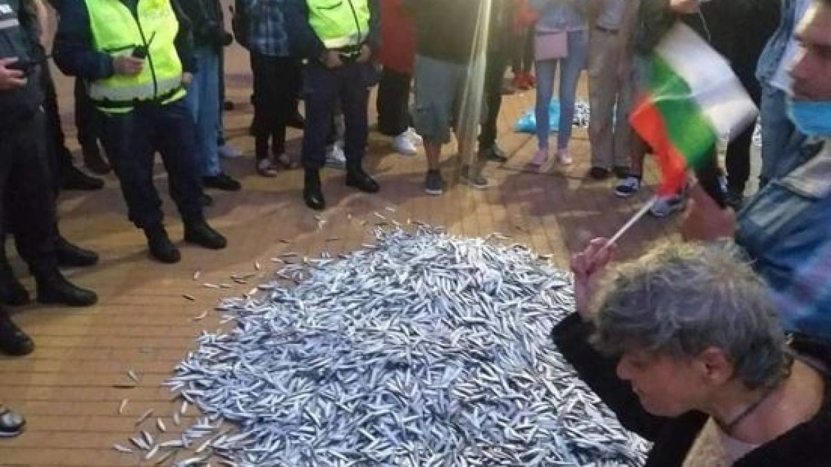 Стъки изригна: Тримата отровЕни безсрамници буквално избиха рибата!