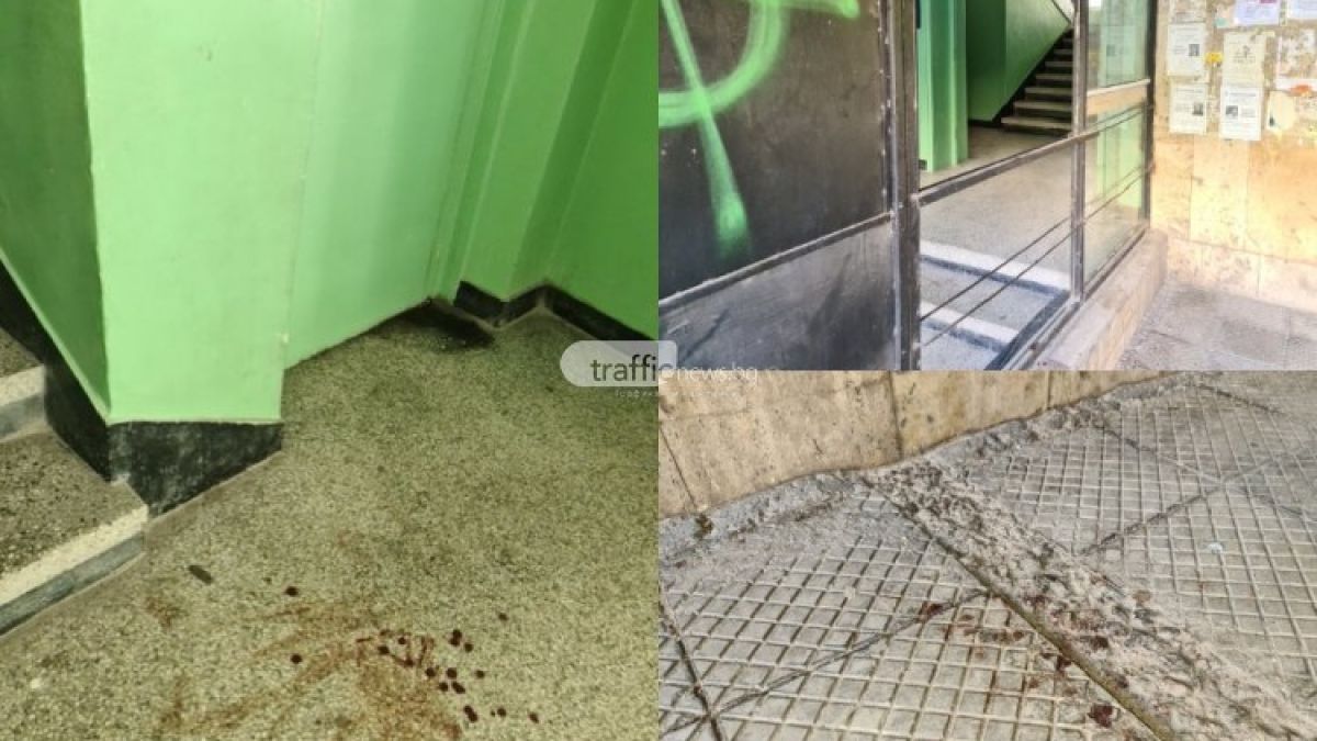 Зловещ екшън окървави вход в пловдивски блок СНИМКИ 18+