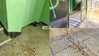 Зловещ екшън окървави вход в пловдивски блок СНИМКИ 18+