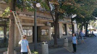 Голям екшън в Бургас с беглец на дърво СНИМКИ 