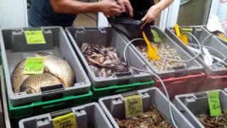 "Циганките" по морето се харчат като топъл хляб 
