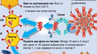 Акад. Петрунов огласи изумителни резултати от Нидерландия за БЦЖ ваксината срещу К-19