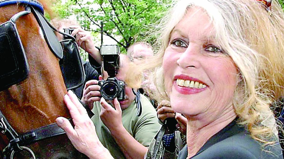 Бриджит Бардо: Животът ми като актриса започна с мизерия  и евтини филми еднодневки