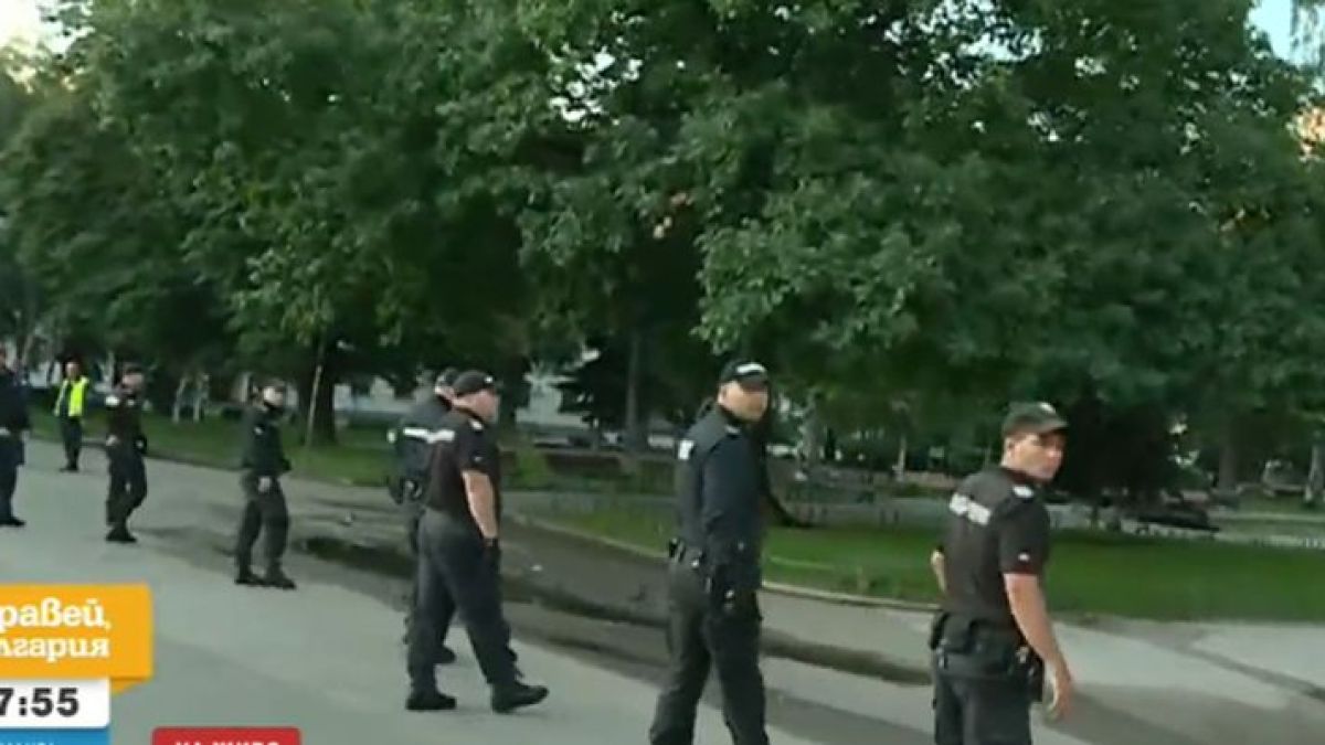 Ексклузивно: Край Ларгото откриха страшни оръжия в скривалища на метежници от протеста! СНИМКИ