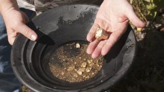 Над 300 кътчета в наши планини и реки крият самородно злато, ето къде е най-много