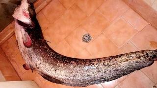 Хюсеин извади невиждано чудовище от "Студен кладенец" СНИМКА