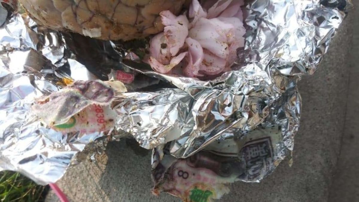 Зловеща находка на плаж ужаси летовници СНИМКИ