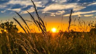 Лятото си отива: Трайно захлаждане започва от петък, температурите падат до... 