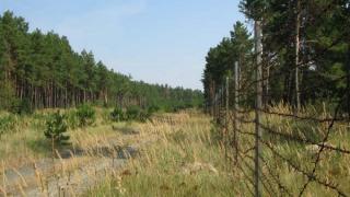 За първи път от 100 години: В Чернобилската зона се случи нещо удивително 