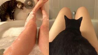 Сладки котета шпионират стопаните си в най-интимните моменти СНИМКИ