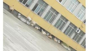 Няма да повярвате какво налази Математическата в Пловдив! СНИМКИ