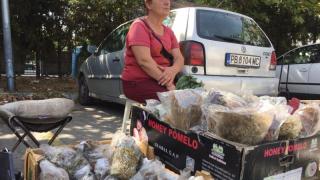 Тези чудодейни продукти заменят ваксината СНИМКИ