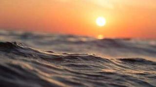 Учени: Идва катастрофа в океаните!