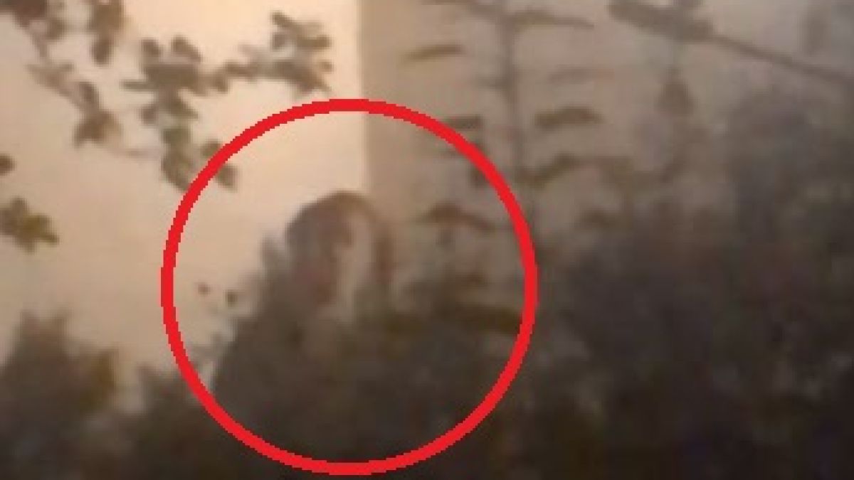 Момиче засне на ВИДЕО зловеща фигура в храстите и изчезна мистериозно, а няколко дни по-късно...