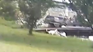 Алигатор отвлече немска овчарка от двор и... СНИМКИ 