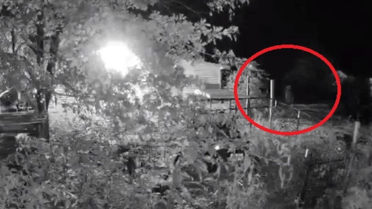 Жена изгледа зловещо ВИДЕО от камерите в ранчото си и се вледени от ужас 