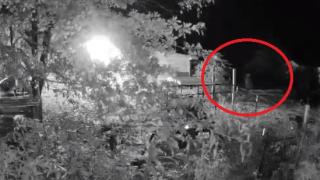 Жена изгледа зловещо ВИДЕО от камерите в ранчото си и се вледени от ужас 