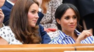 Експерт разкри били ли са Кейт и Меган при пластичен хирург