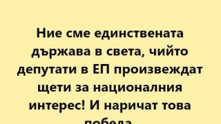 Андролова: Само у нас евродепутати вредят на държавата