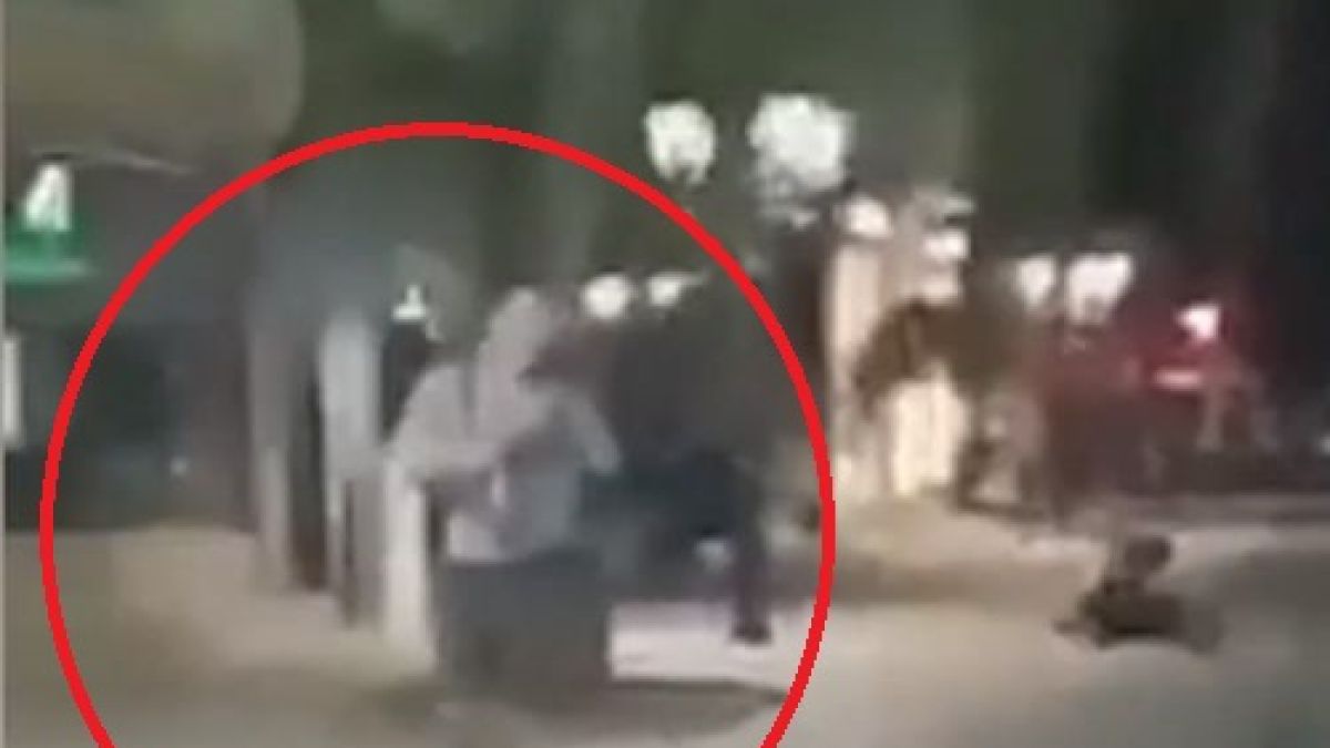 Цяла България беснее заради диващината на този пишлигар във Видин ВИДЕО