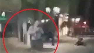 Цяла България беснее заради диващината на този пишлигар във Видин ВИДЕО