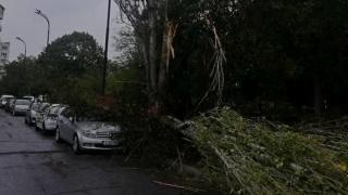 Зрелищни СНИМКИ: Бурята вилнее и опустошава Бургас! 