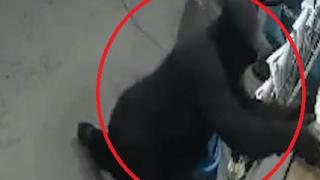 Толкова грозна кражба дори и в Перник не е имало ВИДЕО