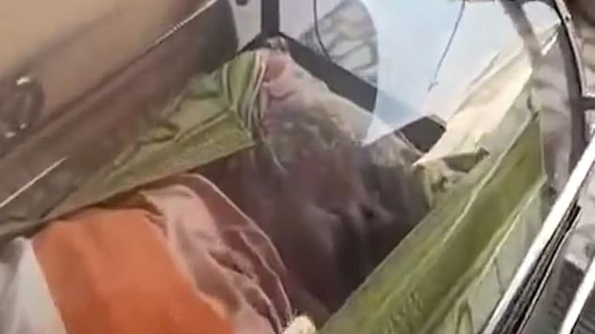 Мъртвец оживя и започна да мърда след 20 часа в хладилната камера ВИДЕО 18+