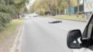 Клане в Париж: Баща на ученик отряза главата на учител с викове "Аллах е велик!" СНИМКА 18+