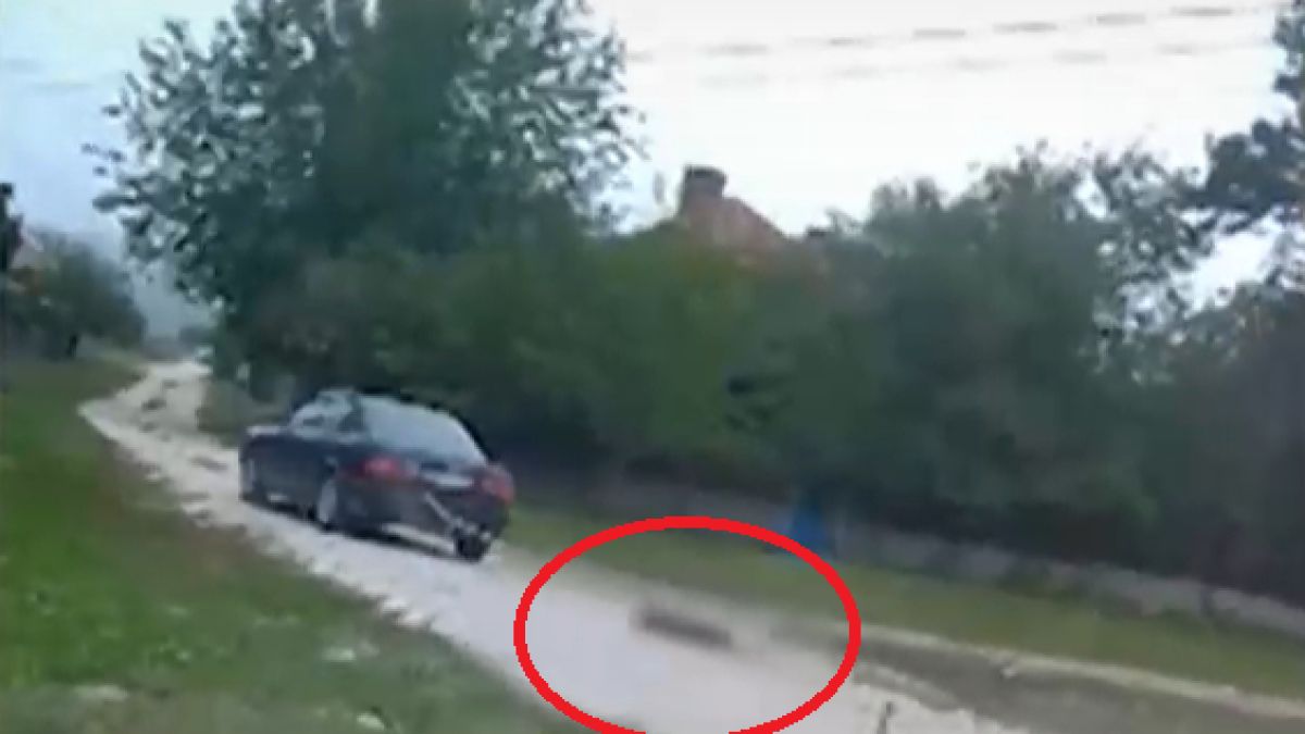 Стана ясно кои са изродите от Алтимир, потресли цяла България със зверството си