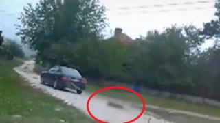 Стана ясно кои са изродите от Алтимир, потресли цяла България със зверството си