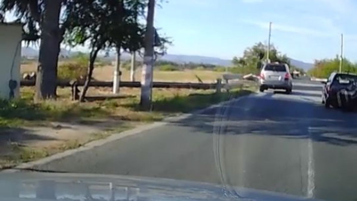 Шофьор втрещи всички с безумните си действия на жп прелез ВИДЕО 
