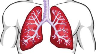 3 сигнала, че белият ви дроб не е добре