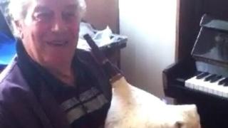 Скръбна вест: Почина българска легенда