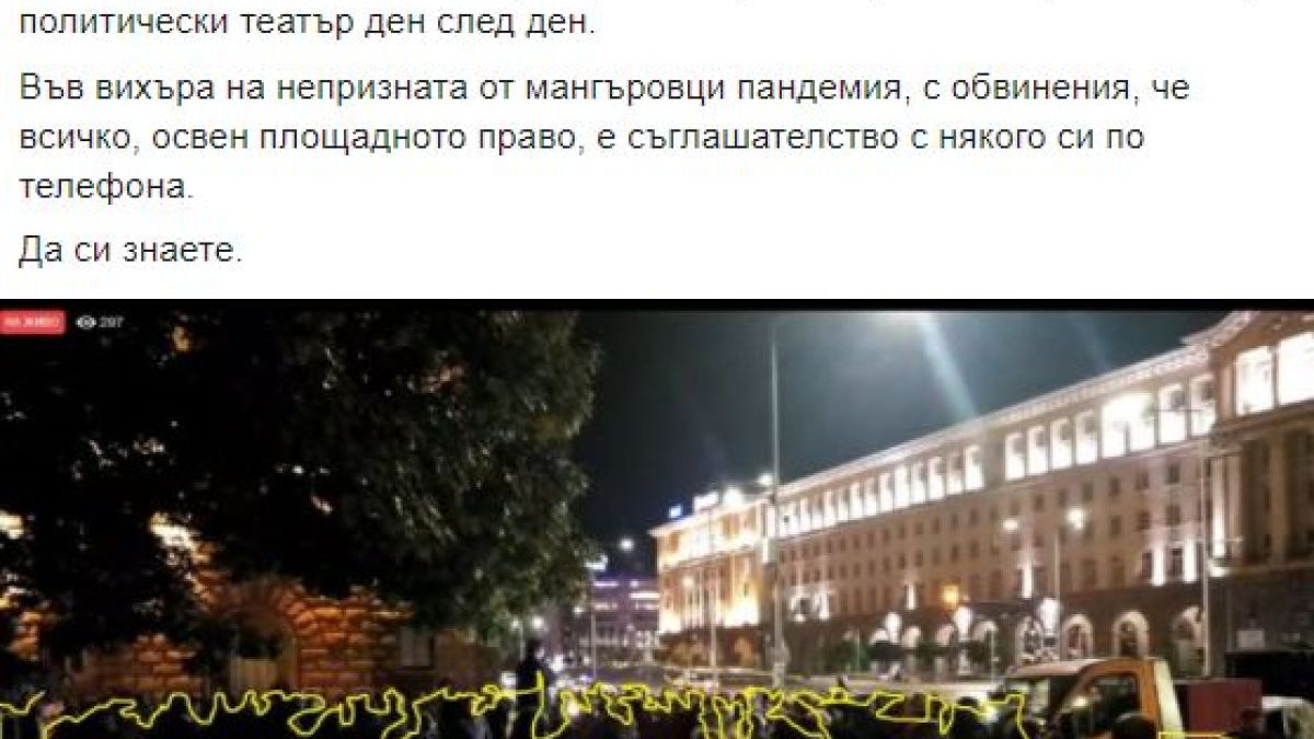 Във вихъра на мангъровската пандемия Димчев разкри колко души се събират на протестите